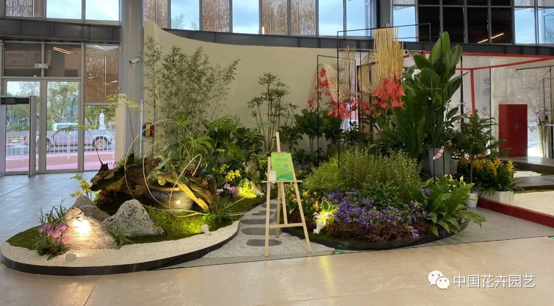 第十届花博会 | 花开盛世 福泽华夏——盆栽花卉专题展