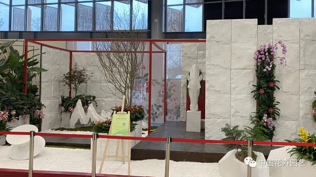 第十届花博会 | 花开盛世 福泽华夏——盆栽花卉专题展