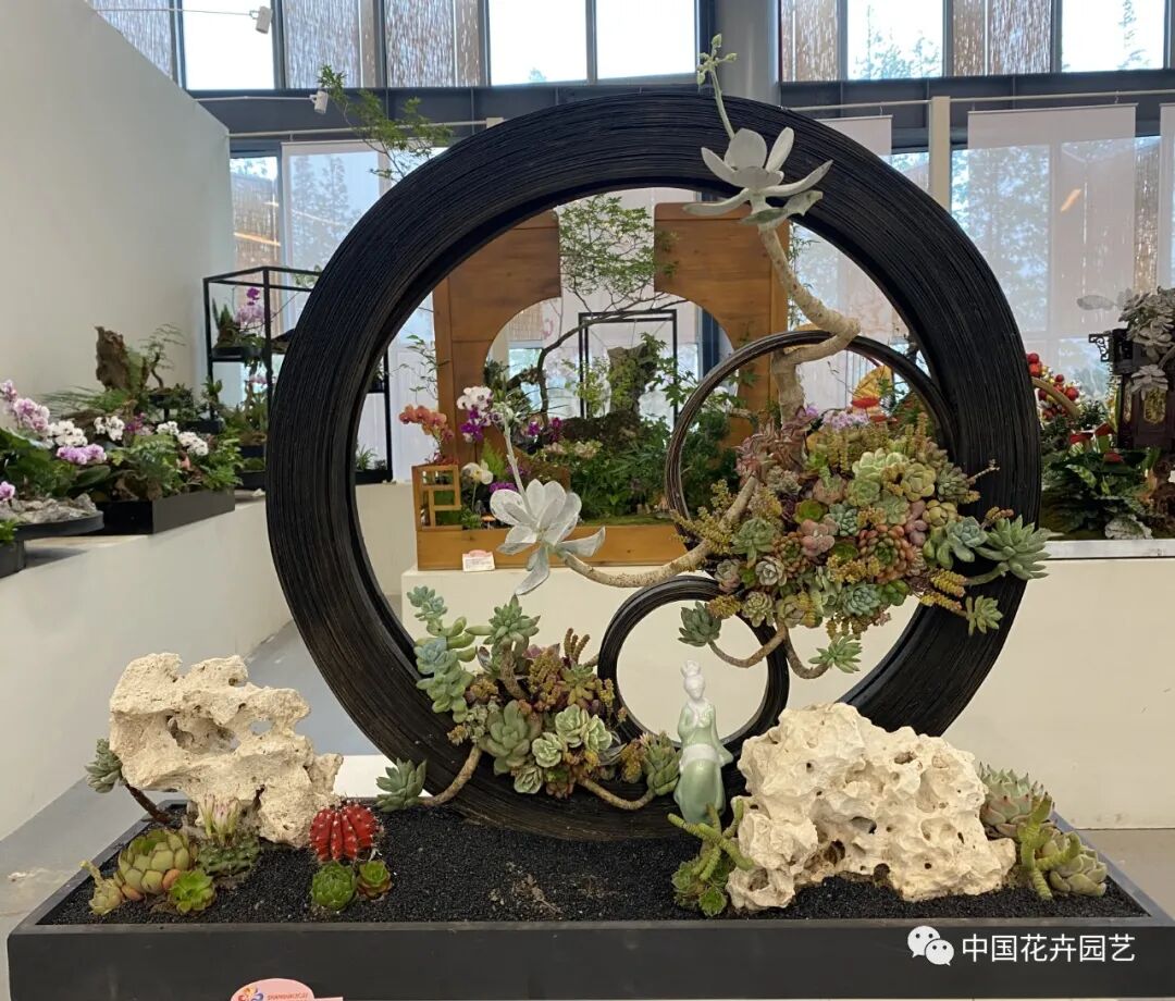 第十届花博会 | 花开盛世 福泽华夏——盆栽花卉专题展
