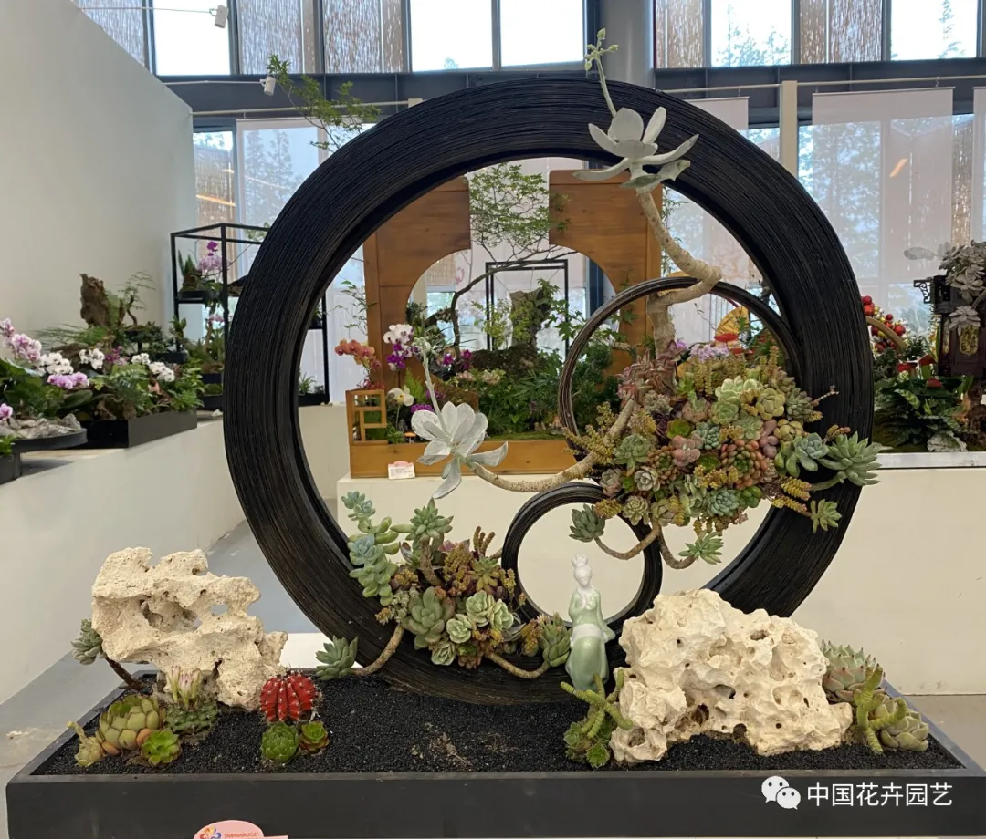 第十屆花博會 | 花開盛世 福澤華夏——盆栽花卉專題展 第十屆花博會 | 花開盛世 福澤華夏——盆栽花卉專題展