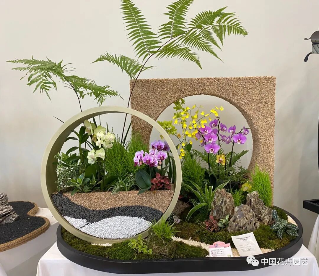 第十届花博会 | 花开盛世 福泽华夏——盆栽花卉专题展