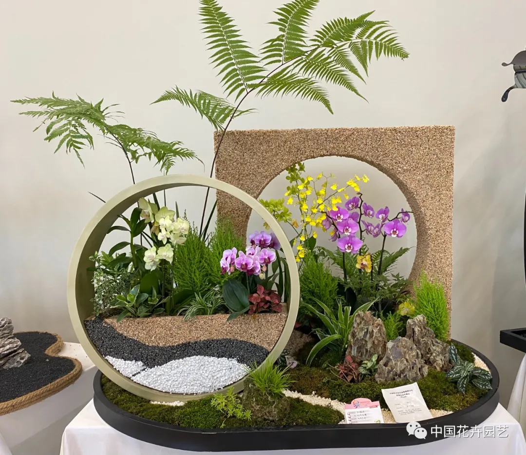 第十屆花博會 | 花開盛世 福澤華夏——盆栽花卉專題展 第十屆花博會 | 花開盛世 福澤華夏——盆栽花卉專題展