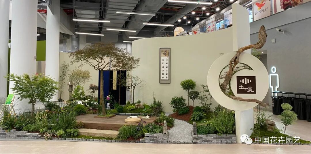 第十届花博会 | 花开盛世 福泽华夏——盆栽花卉专题展