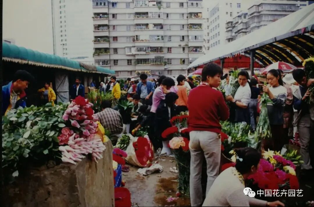 老张说花：分布式鲜花批发中心能否成为二级批发商的未来