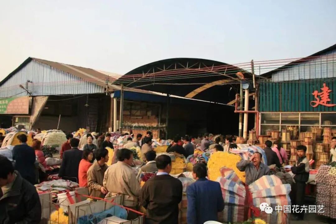 老张说花：分布式鲜花批发中心能否成为二级批发商的未来