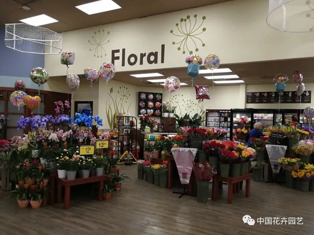 老张说花：分布式鲜花批发中心能否成为二级批发商的未来