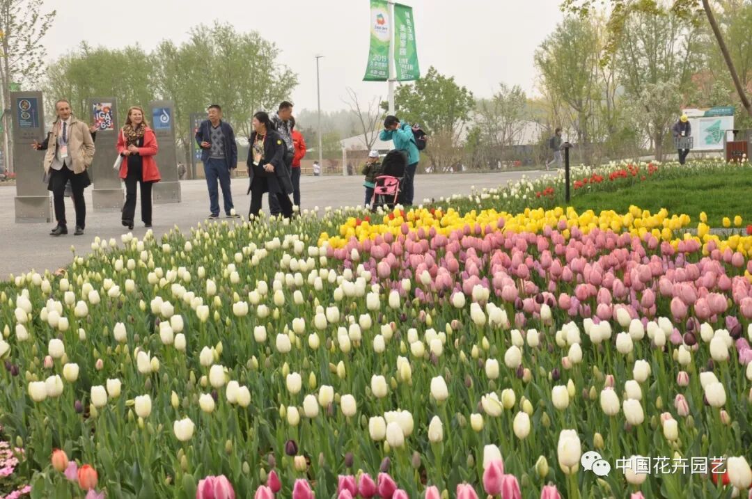 北京世园会 | 2019北京世园会举行开园仪式