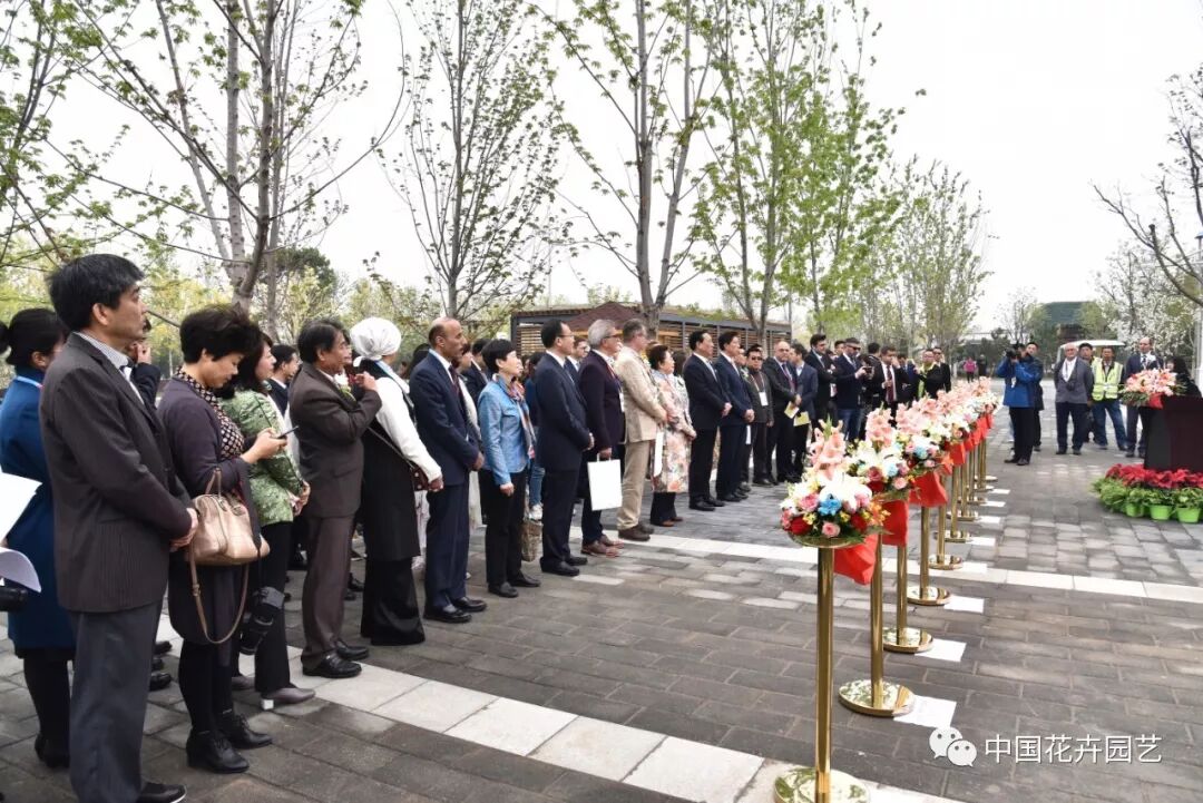 北京世园会 | AIPH展园“野园华亭”开园迎客