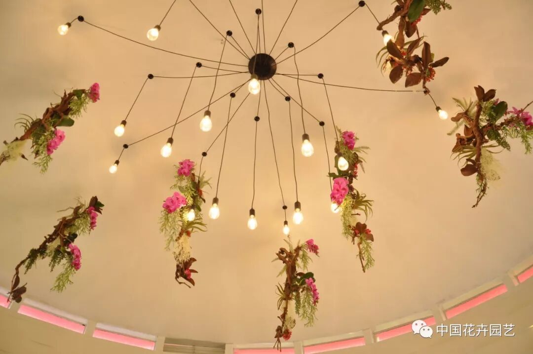 北京世园会 | AIPH展园“野园华亭”开园迎客