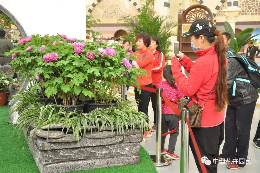 北京世园会 | 2019北京世园会举行开园仪式