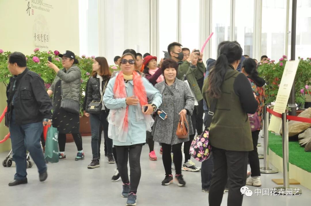 北京世园会 | 2019北京世园会举行开园仪式