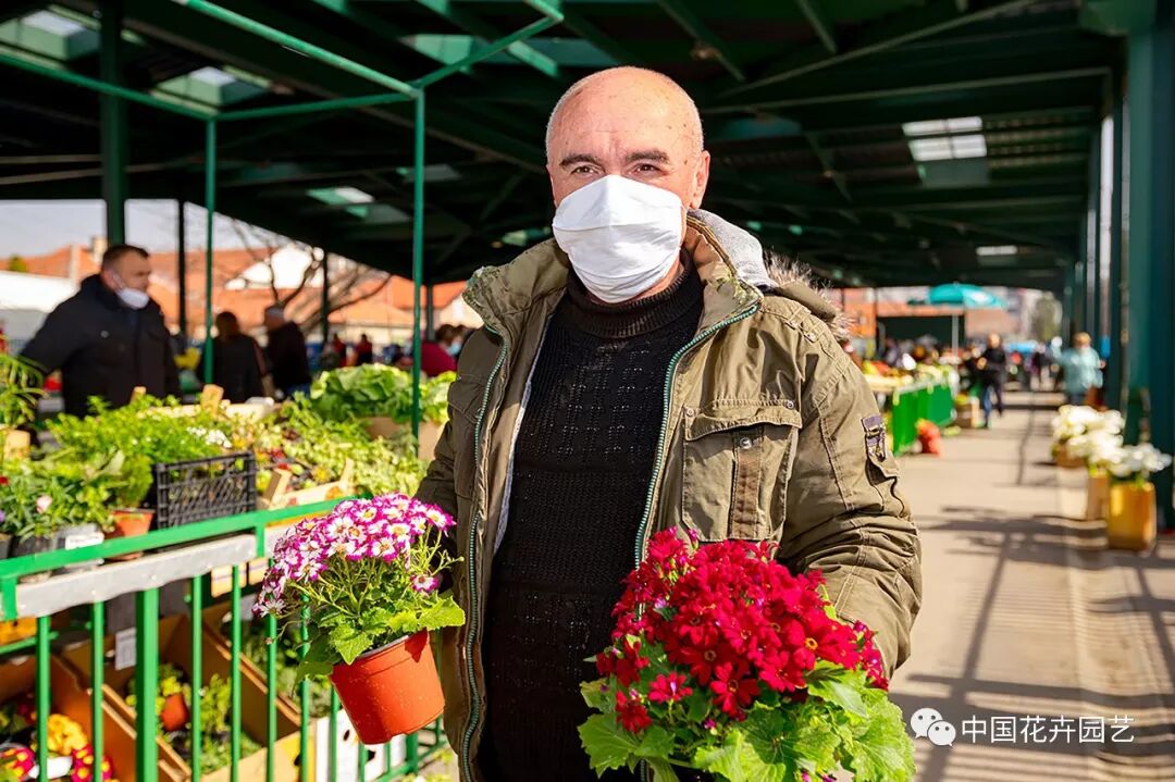 71%受访者看好后疫情时代，AIPH国际园艺生产者协会发布最新全球花卉行业调查 