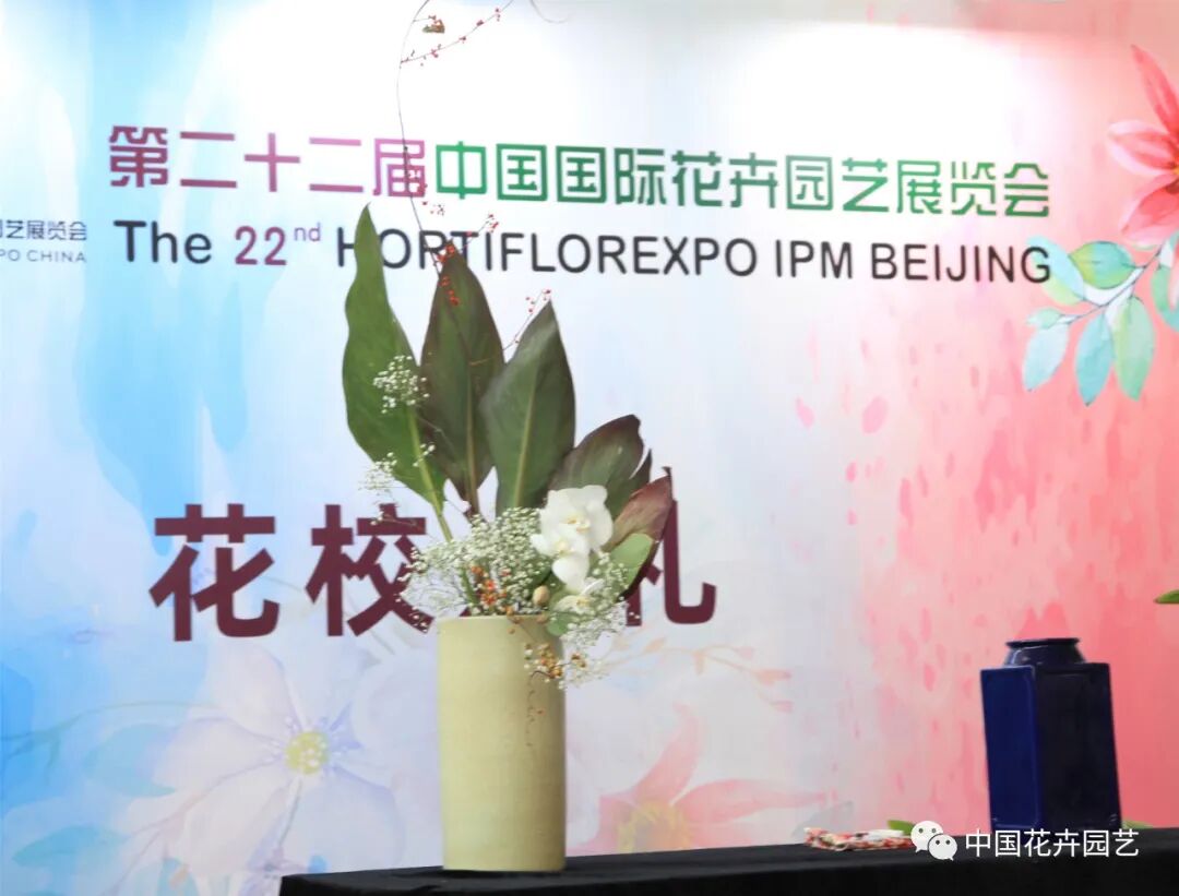 国际花展多风格花卉应用展示轮番上演 | 动态