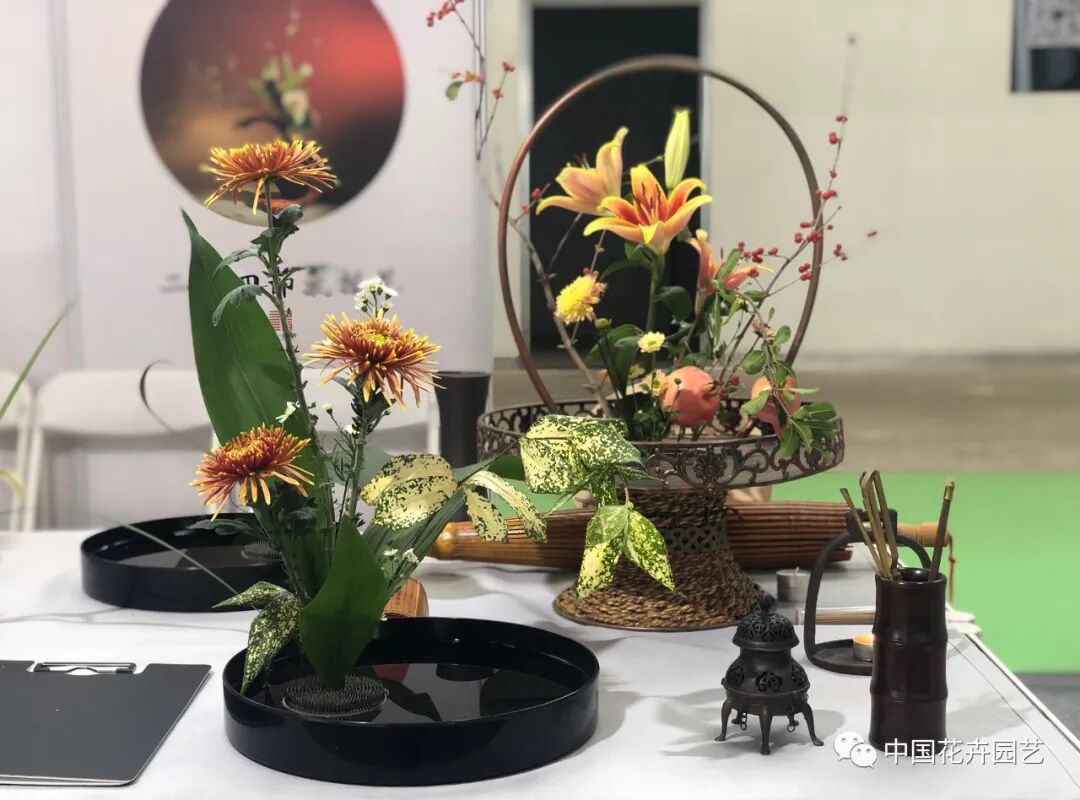 国际花展多风格花卉应用展示轮番上演 | 动态