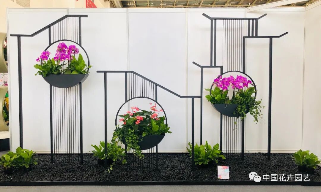 国际花展多风格花卉应用展示轮番上演 | 动态