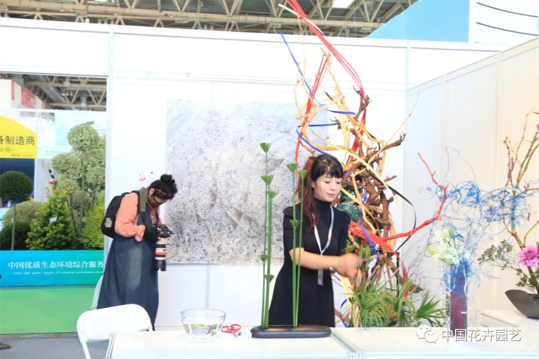 国际花展多风格花卉应用展示轮番上演 | 动态