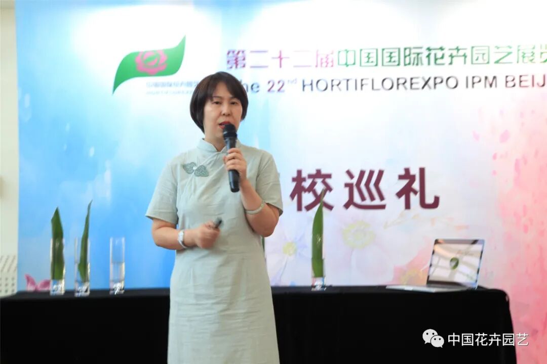 国际花展多风格花卉应用展示轮番上演 | 动态