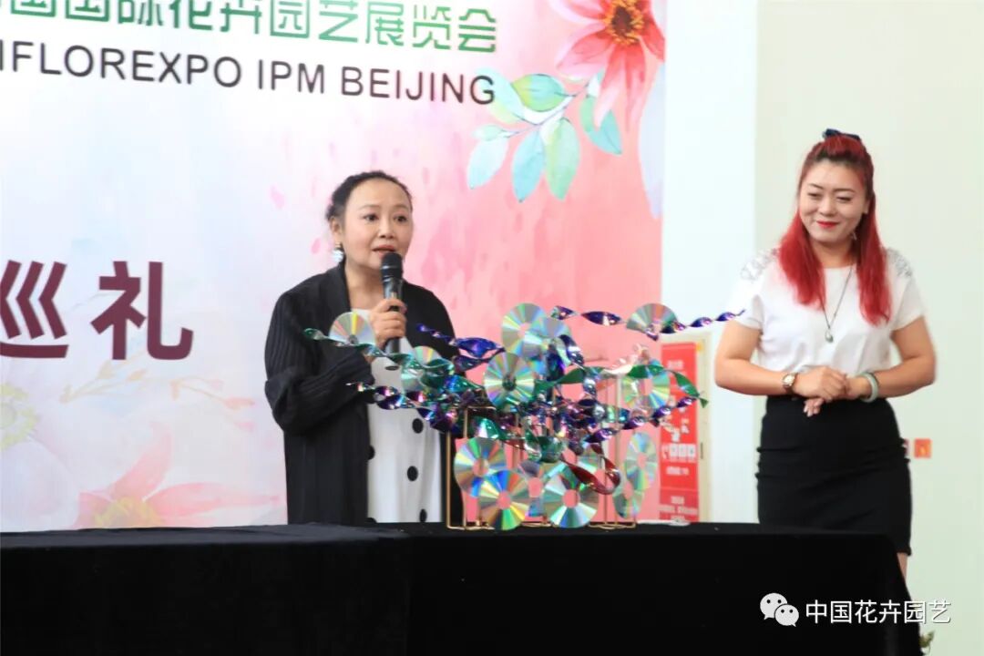 国际花展多风格花卉应用展示轮番上演 | 动态