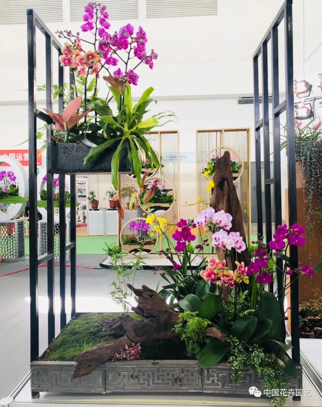 国际花展多风格花卉应用展示轮番上演 | 动态