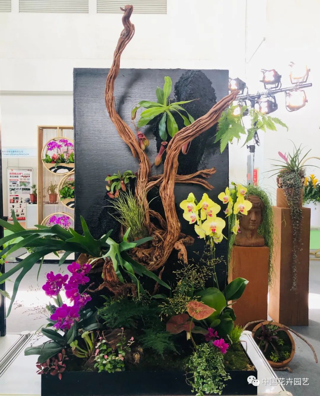 国际花展多风格花卉应用展示轮番上演 | 动态