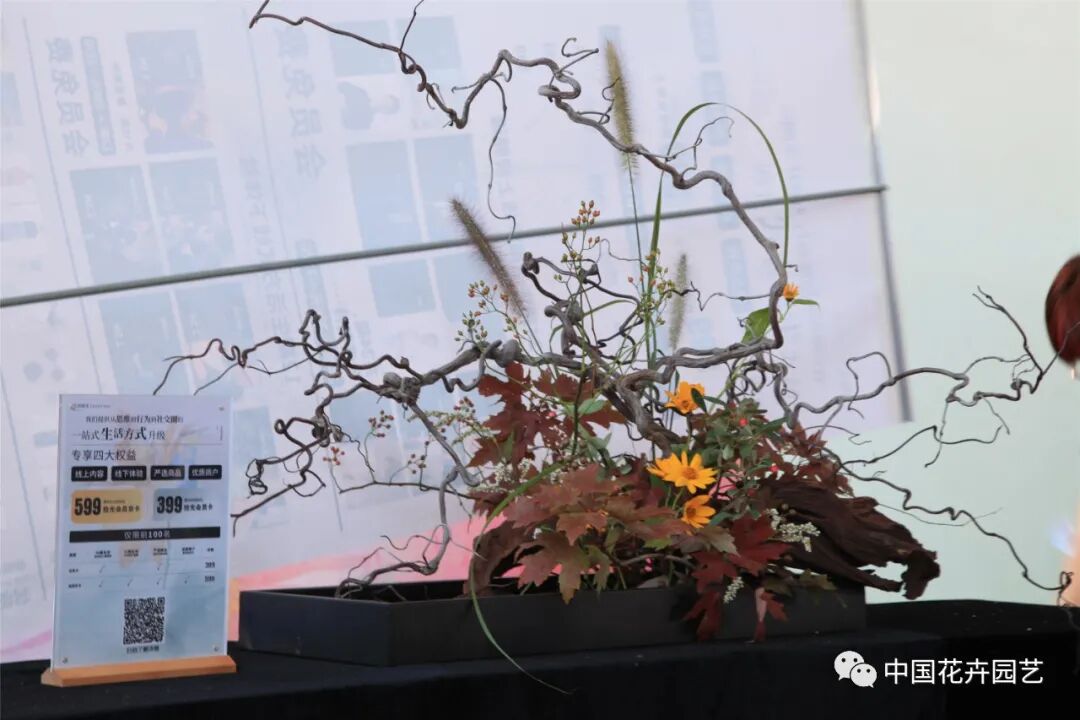国际花展多风格花卉应用展示轮番上演 | 动态