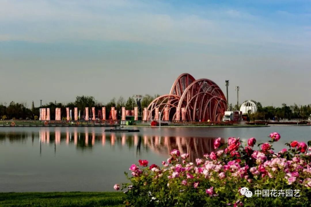 2019世界月季洲际大会暨第九届中国月季展开幕 | 动态