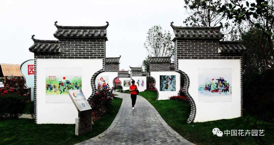 2019世界月季洲际大会暨第九届中国月季展开幕 | 动态