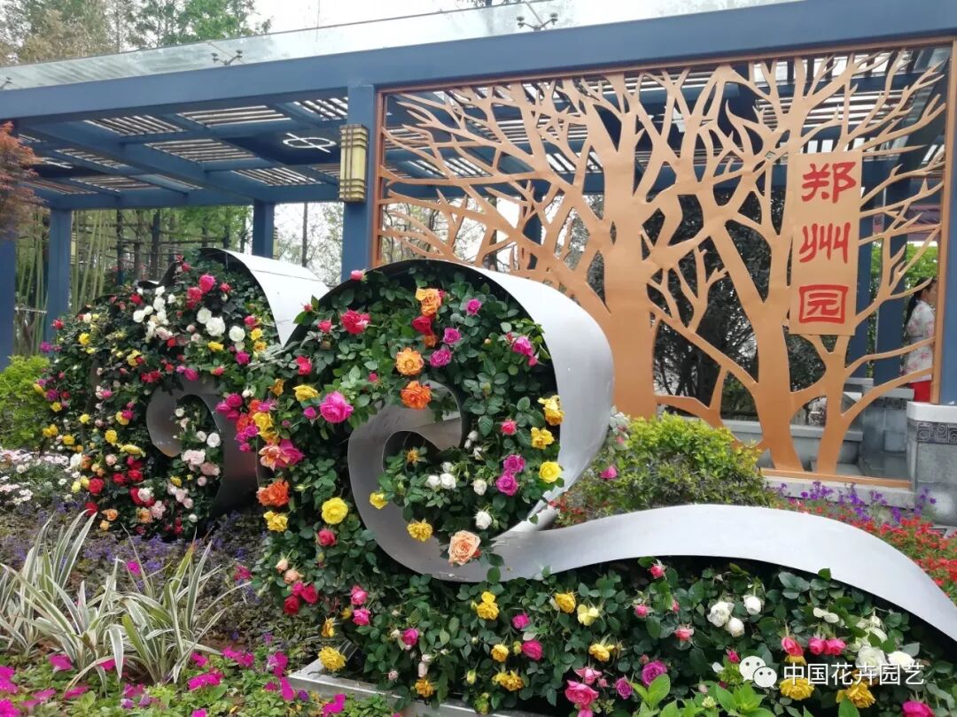 2019世界月季洲际大会暨第九届中国月季展开幕 | 动态