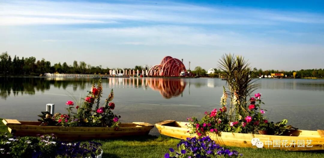 2019世界月季洲际大会暨第九届中国月季展开幕 | 动态