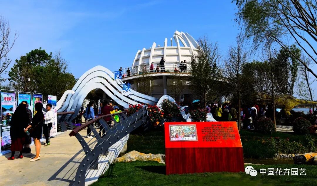 2019世界月季洲际大会暨第九届中国月季展开幕 | 动态