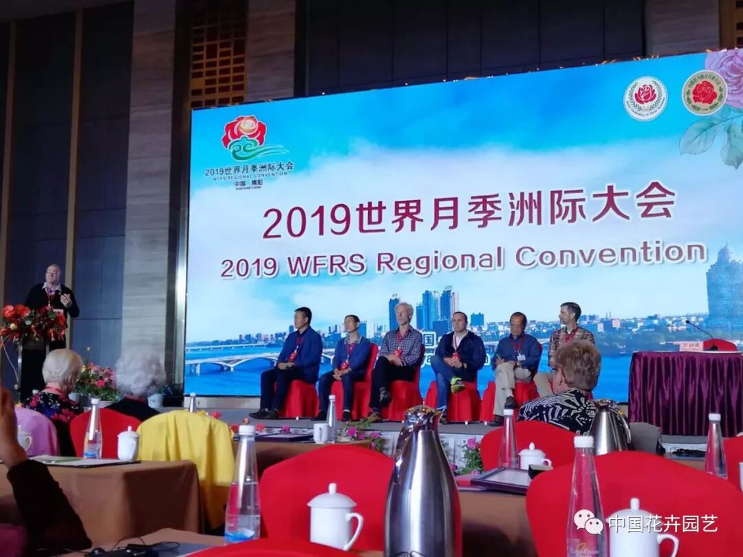 2019世界月季洲际大会暨第九届中国月季展开幕 | 动态