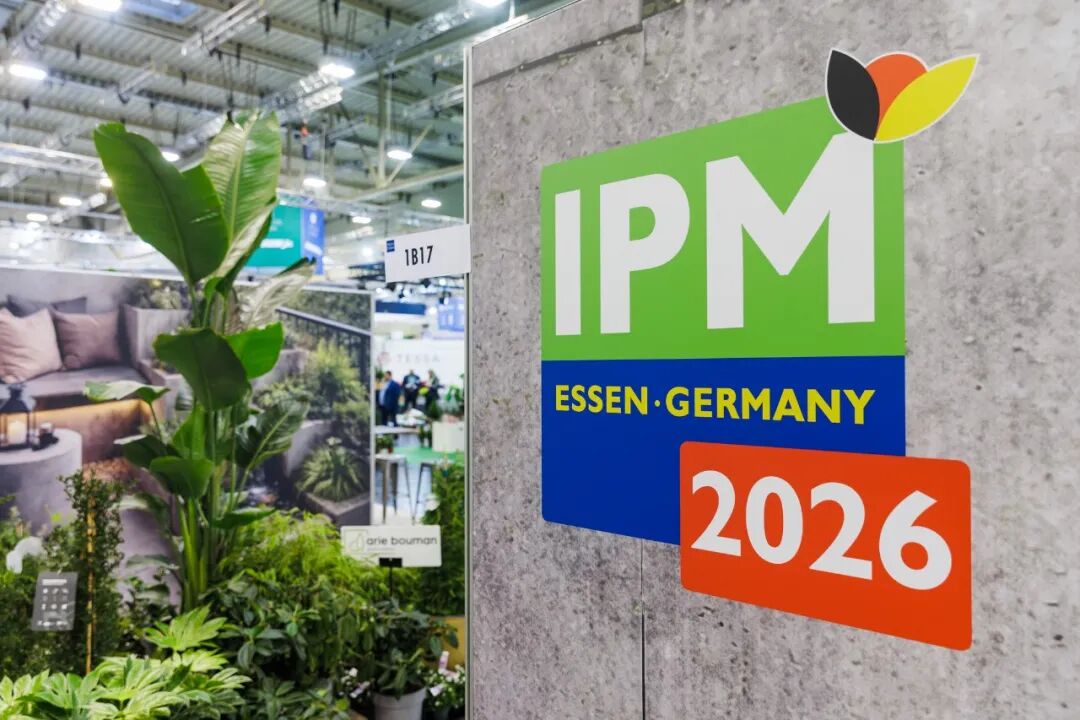 怎么介绍ipm10陈凤翔：10年回眸IPM埃森国际花展有感 ｜ 动态_https://www.jmylbn.com_新闻资讯_第4张