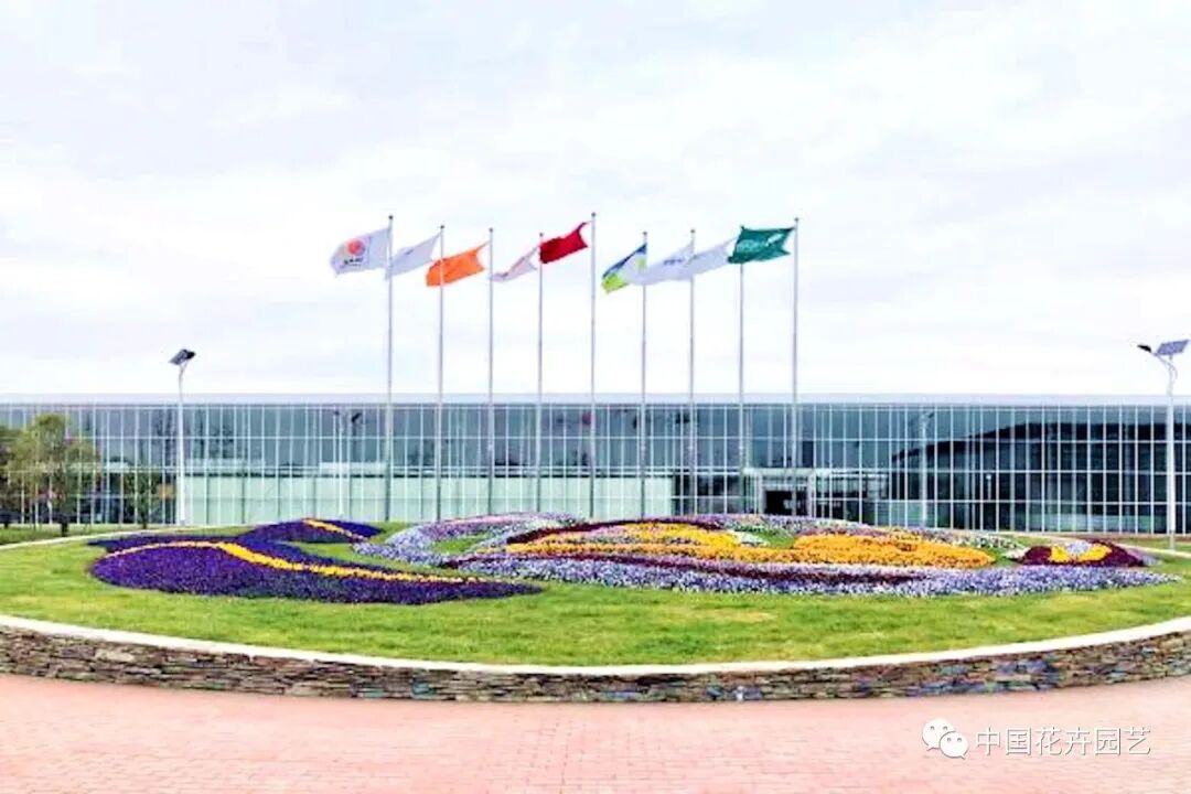 第十届花博会 | 迎花博2020上海崇明国际新优花卉品种展示会5月盛放