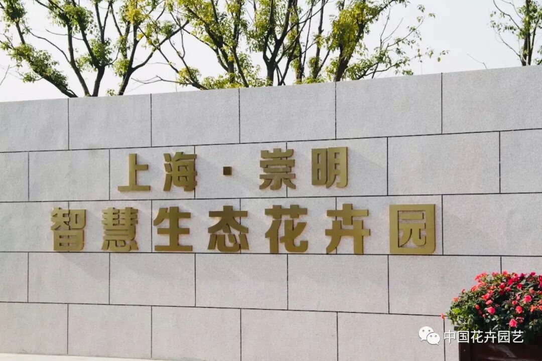 第十届花博会 | 迎花博2020上海崇明国际新优花卉品种展示会5月盛放