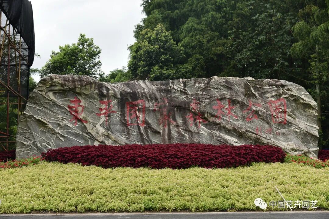 第十届花博会 | 中国花卉协会调研第十届中国花博会筹备工作