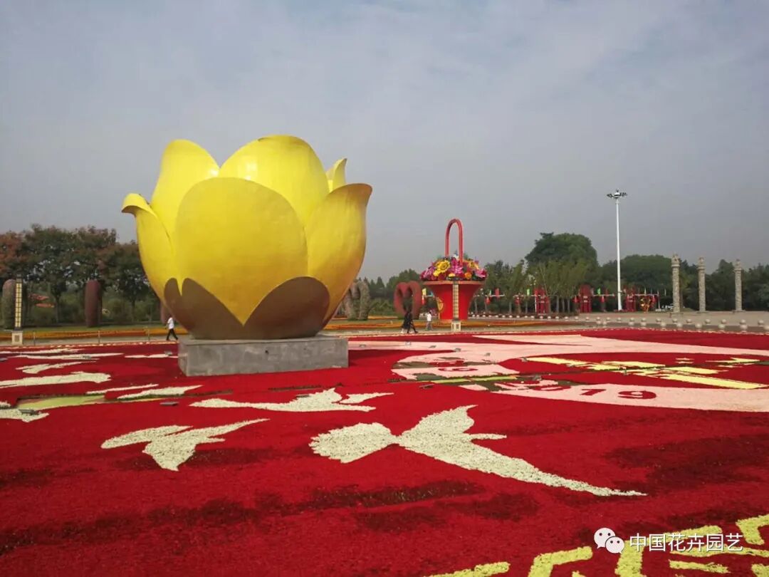 2020年中原花木交易博覽會云上開 | 動態(tài)