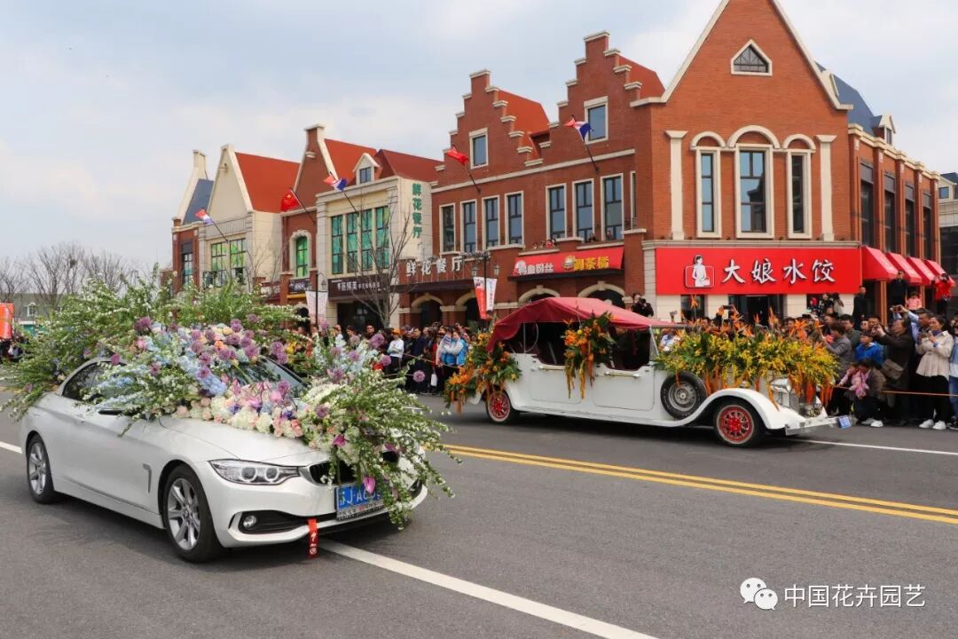 2019荷兰花海郁金香文化月活动启幕 | 动态