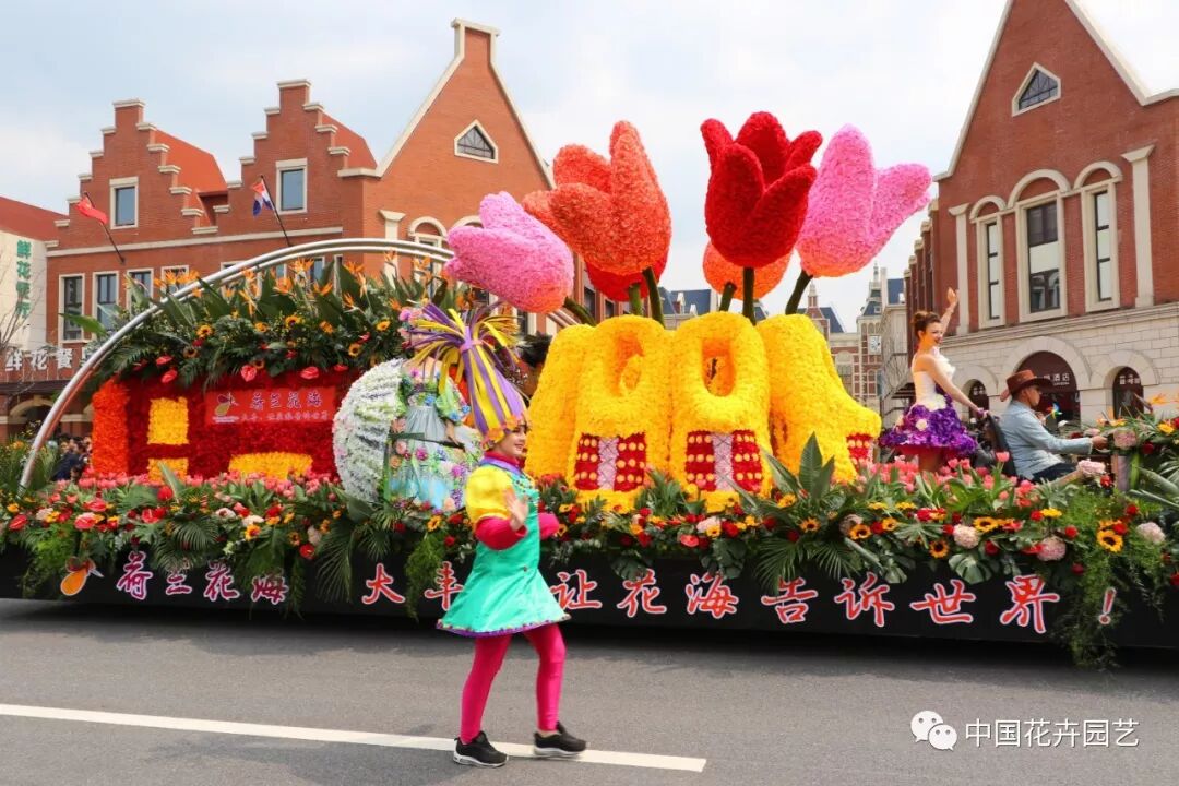 2019荷兰花海郁金香文化月活动启幕 | 动态