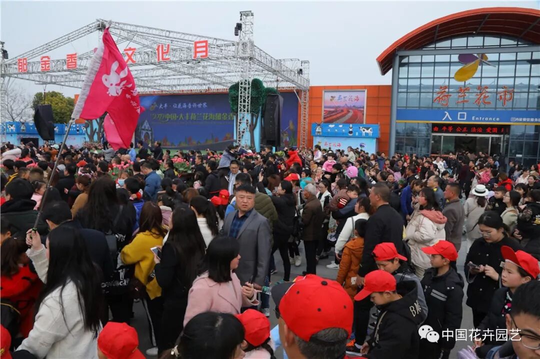 2019荷兰花海郁金香文化月活动启幕 | 动态