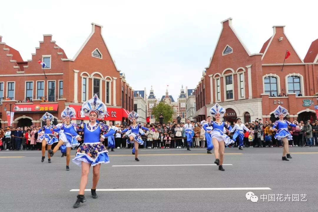 2019荷兰花海郁金香文化月活动启幕 | 动态
