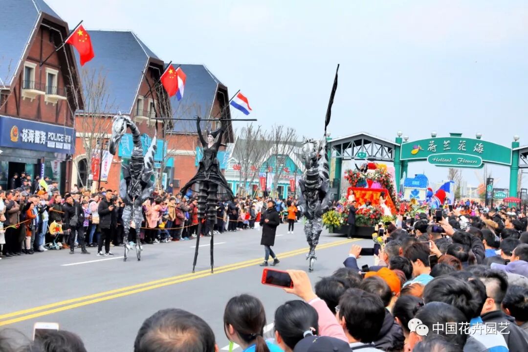 2019荷兰花海郁金香文化月活动启幕 | 动态
