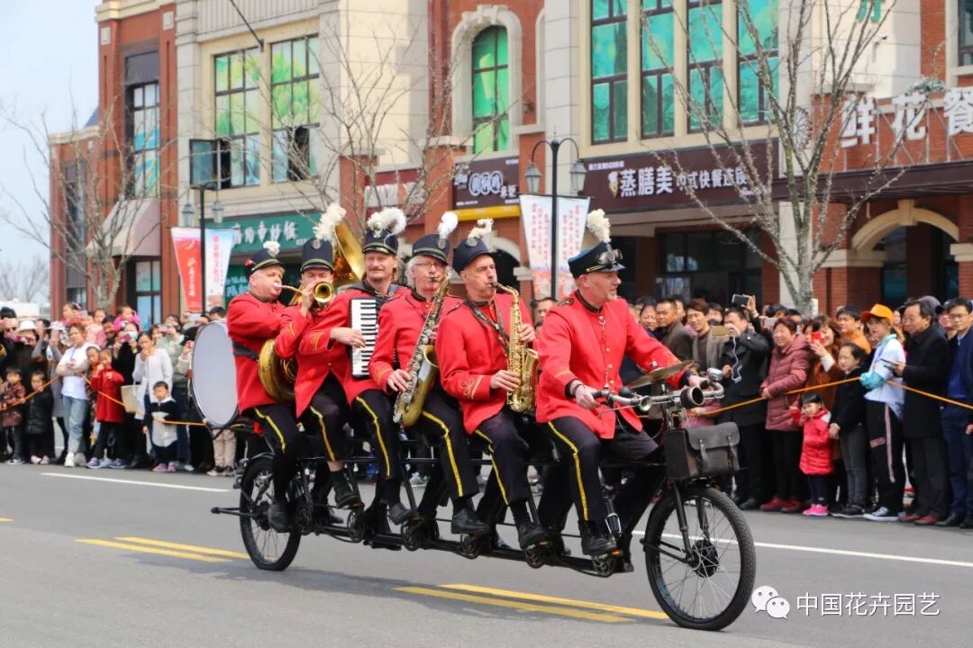 2019荷兰花海郁金香文化月活动启幕 | 动态