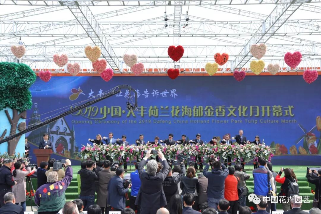 2019荷兰花海郁金香文化月活动启幕 | 动态