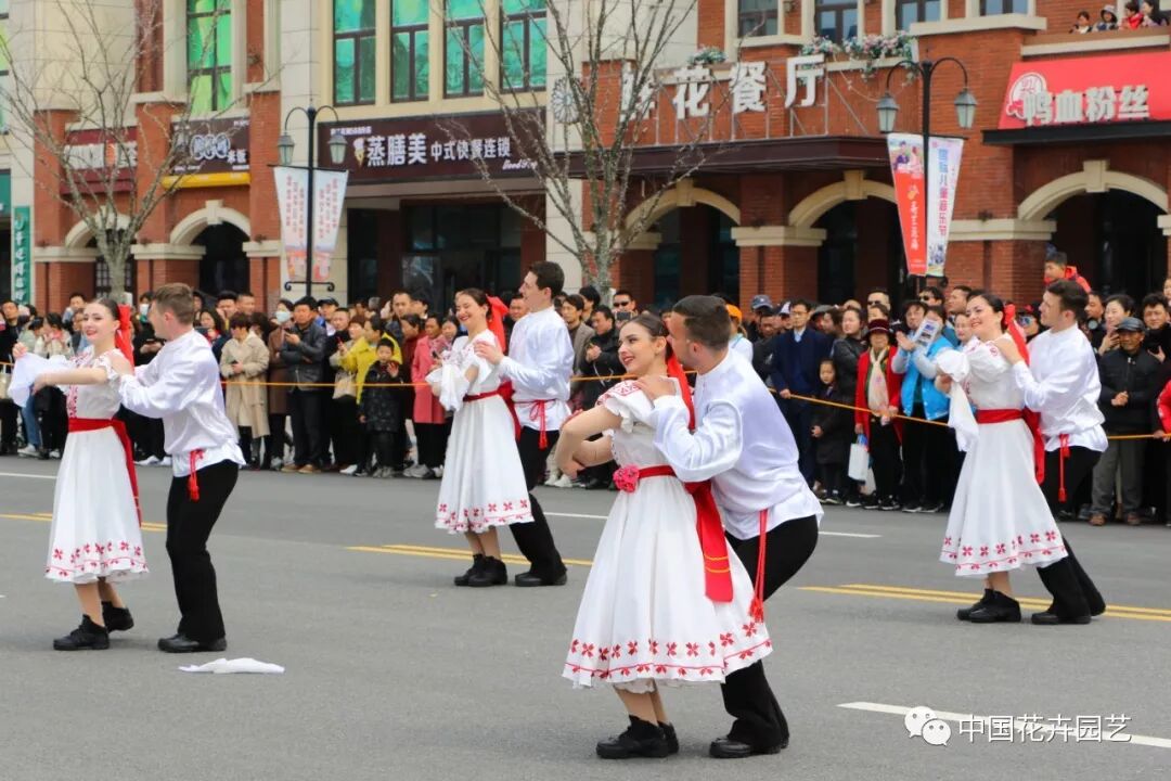 2019荷兰花海郁金香文化月活动启幕 | 动态