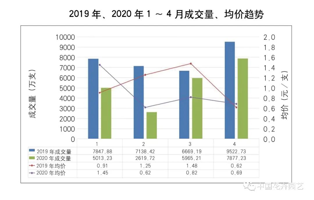 鲜切花产业的变与不变 | 2020全国花卉产销分析会