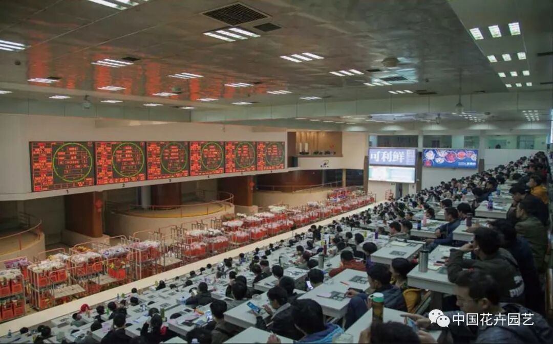 鲜切花产业的变与不变 | 2020全国花卉产销分析会