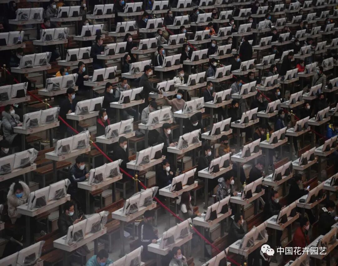 鲜切花产业的变与不变 | 2020全国花卉产销分析会