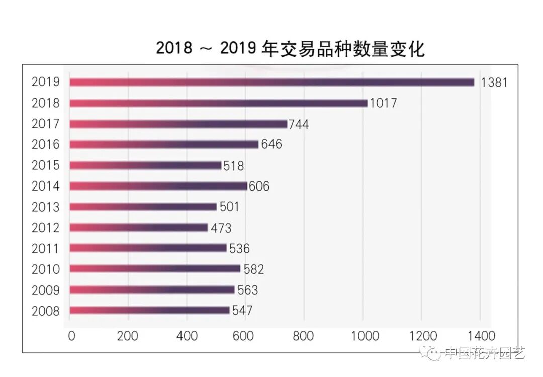 鲜切花产业的变与不变 | 2020全国花卉产销分析会
