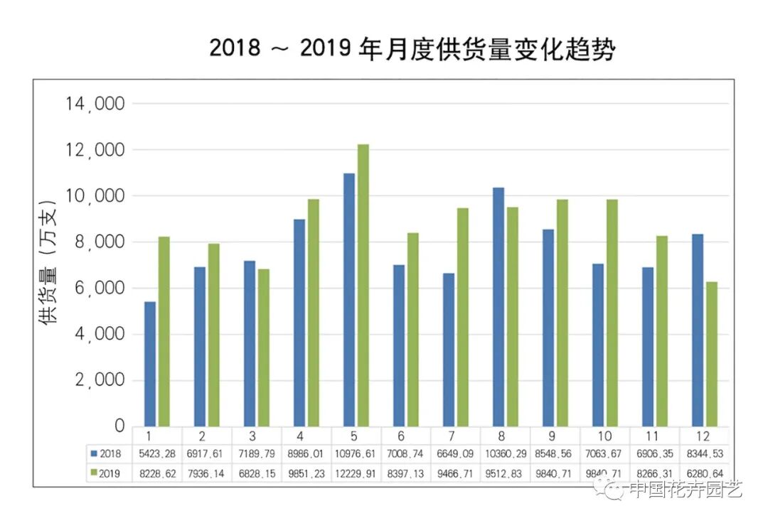 鲜切花产业的变与不变 | 2020全国花卉产销分析会