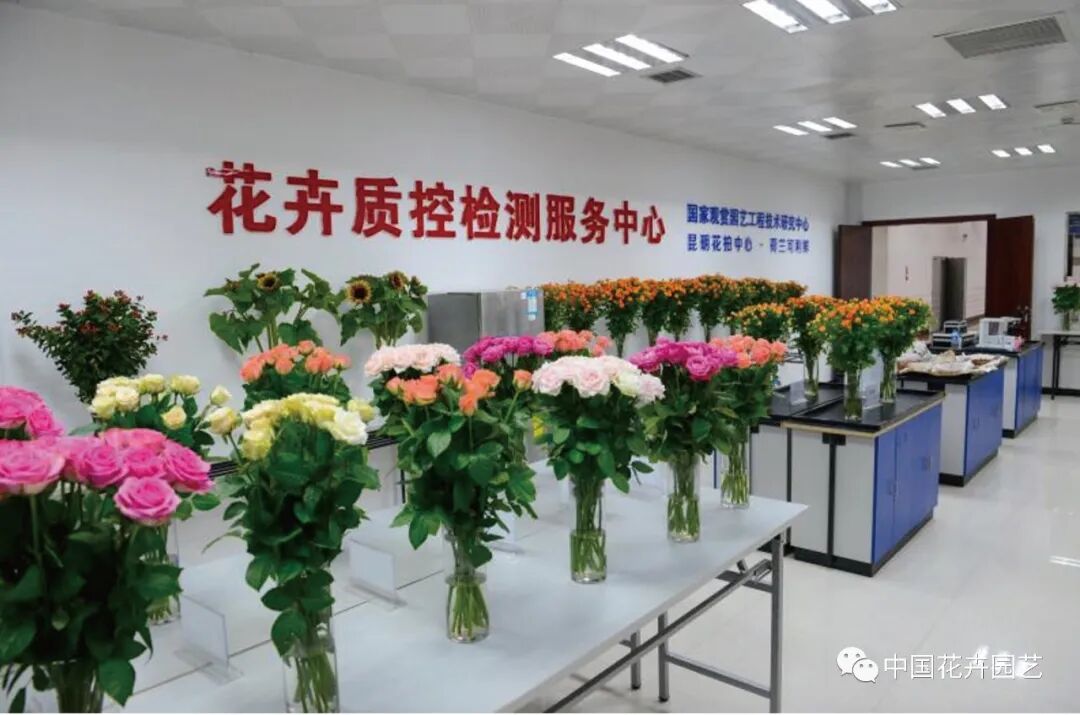 鲜切花产业的变与不变 | 2020全国花卉产销分析会